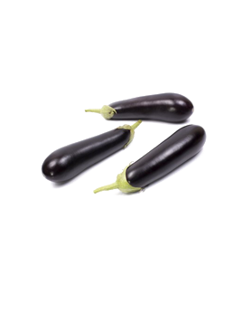 3G Floritech Brinjal