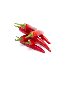 3G Floritech Red Chilly